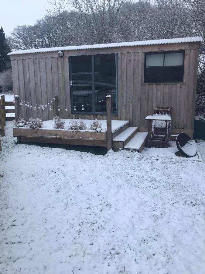 Cefn Crib Cabins Махінллет Екстер'єр фото